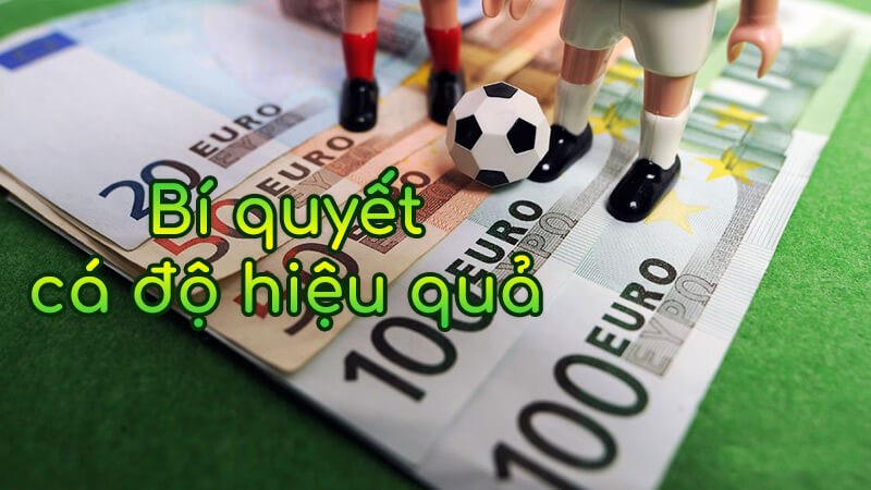 Bí quyết cá cược bóng đá hiệu quả