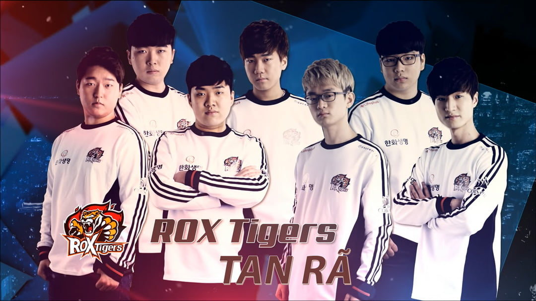 rox tiger team
