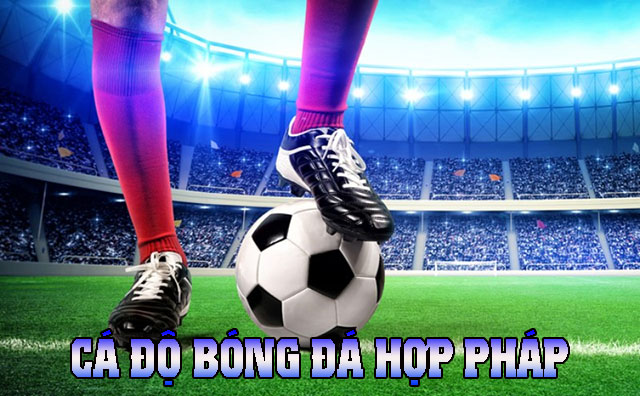 cá độ bóng đá hợp pháp