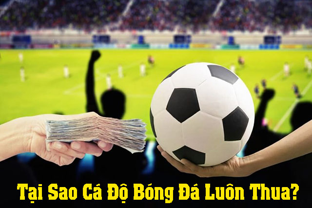 Tại sao cá độ bóng đá luôn thua