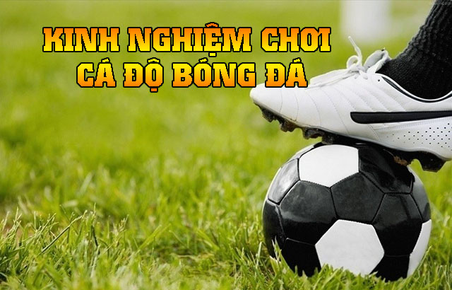 kinh nghiệm cá cược