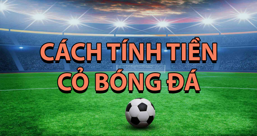 cách tính tiền cỏ bóng ddas