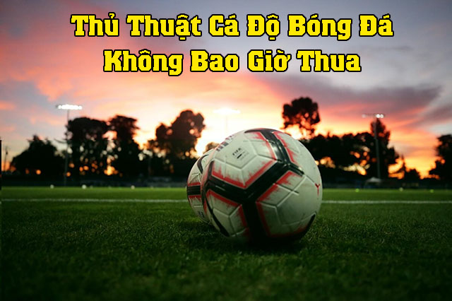 Thủ thuật cá độ bóng đá không bao giờ thua