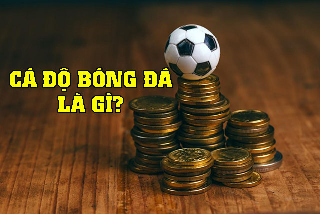 Cá độ bóng đá là gì?