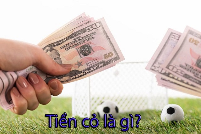 Tiền cỏ là gì?