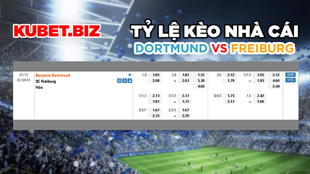 Tỷ lệ nhà cái đưa ra cho 2 đội Dortmund vs Freiburg ở trận đấu này